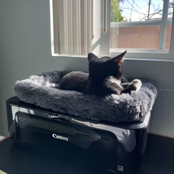 dark gray Fur calming bed Deluxe Plush Pet Bed - Picture 2 of 5